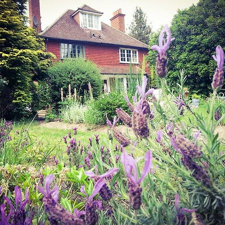 Rosemead Guest House Claygate Bagian luar foto