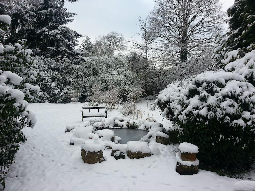 Rosemead Guest House Claygate Bagian luar foto