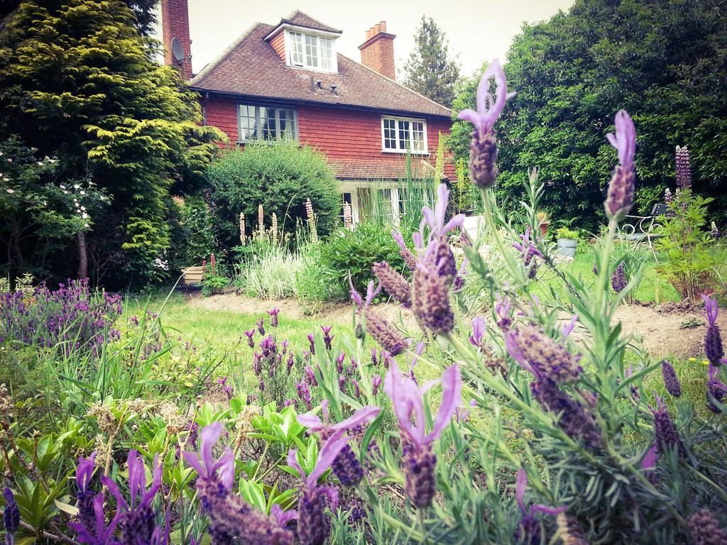 Rosemead Guest House Claygate Bagian luar foto